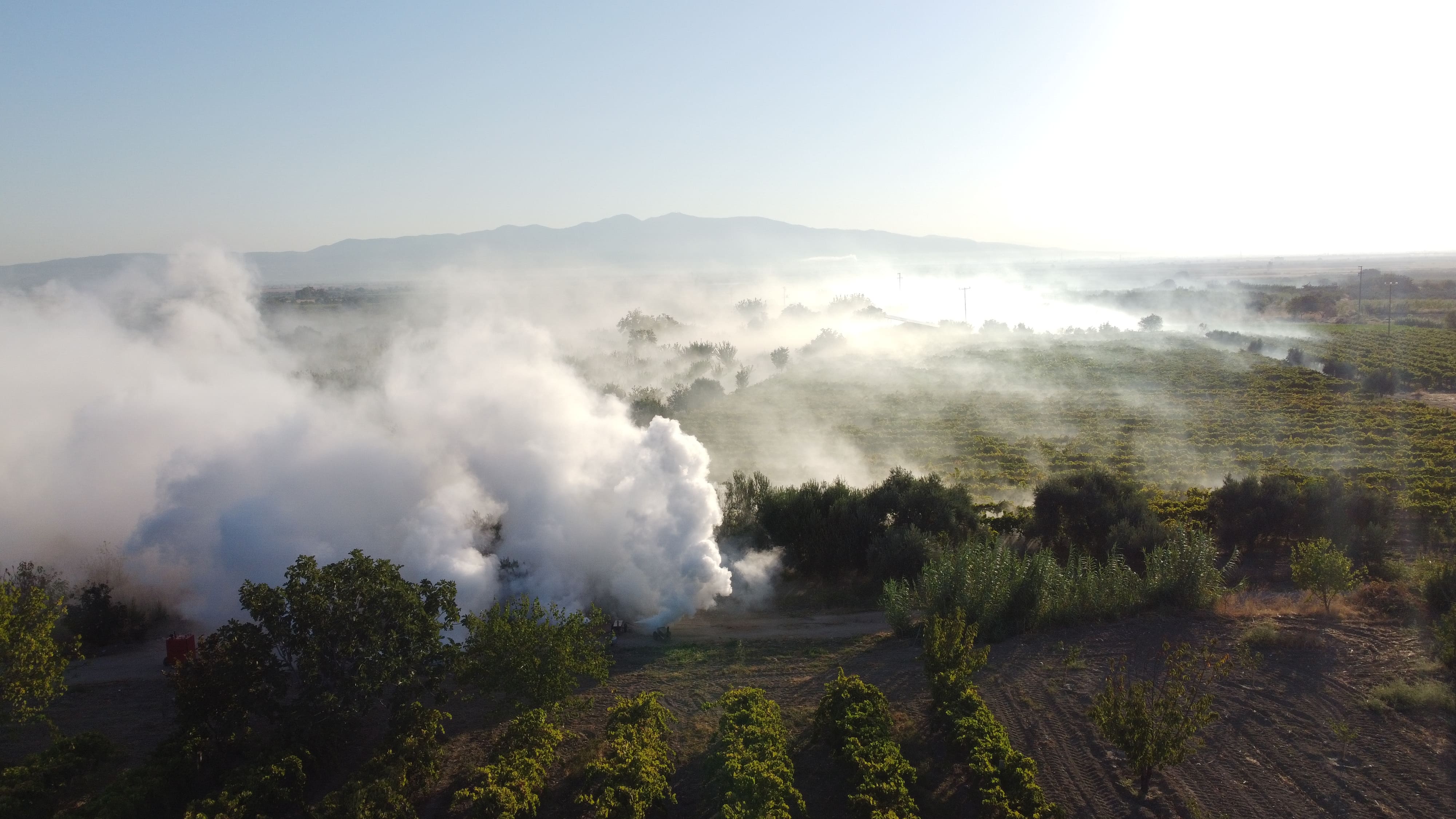 SAHA GÖRÜNTÜSÜ 1